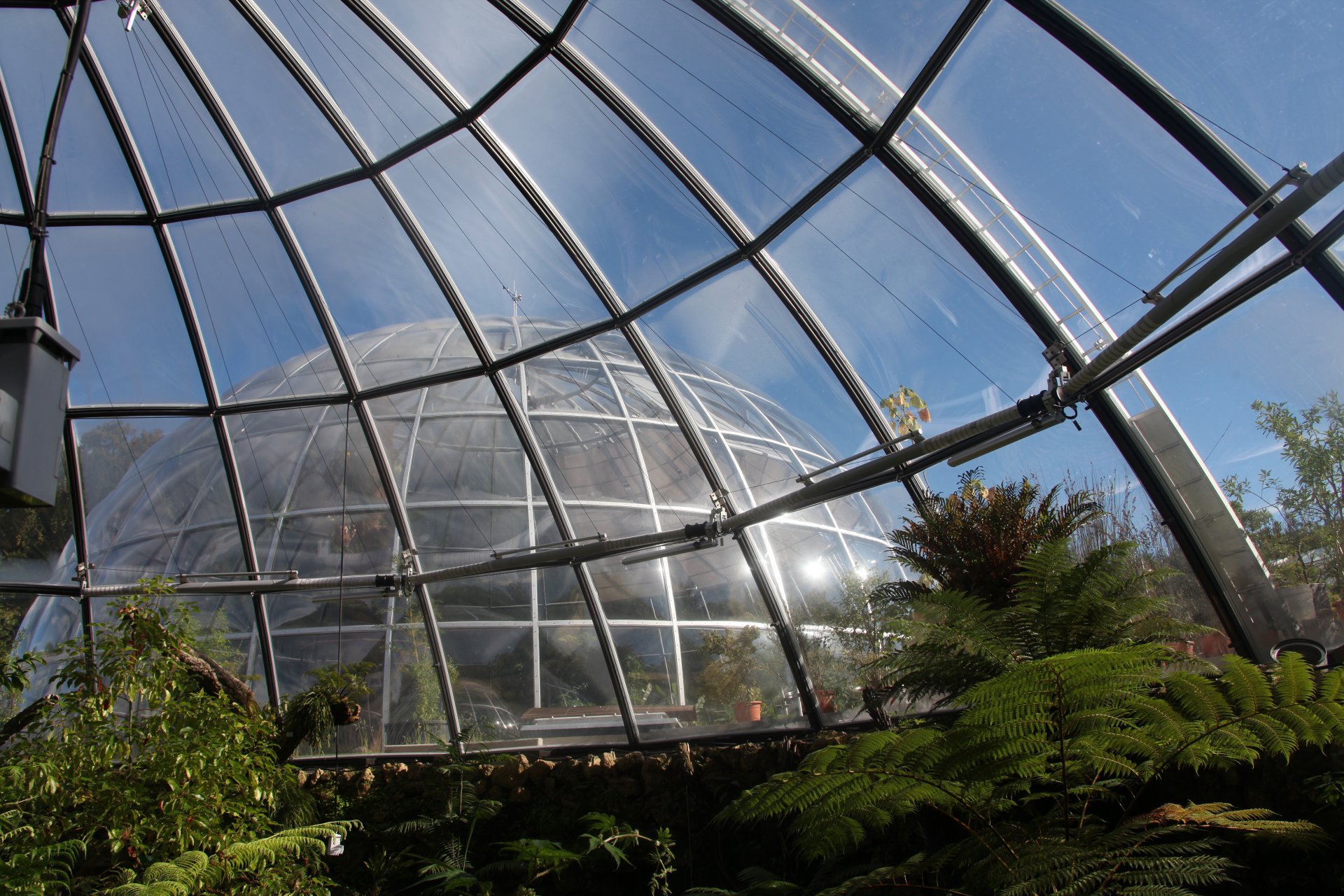 Botanischer Garten Zürich - SunSquare