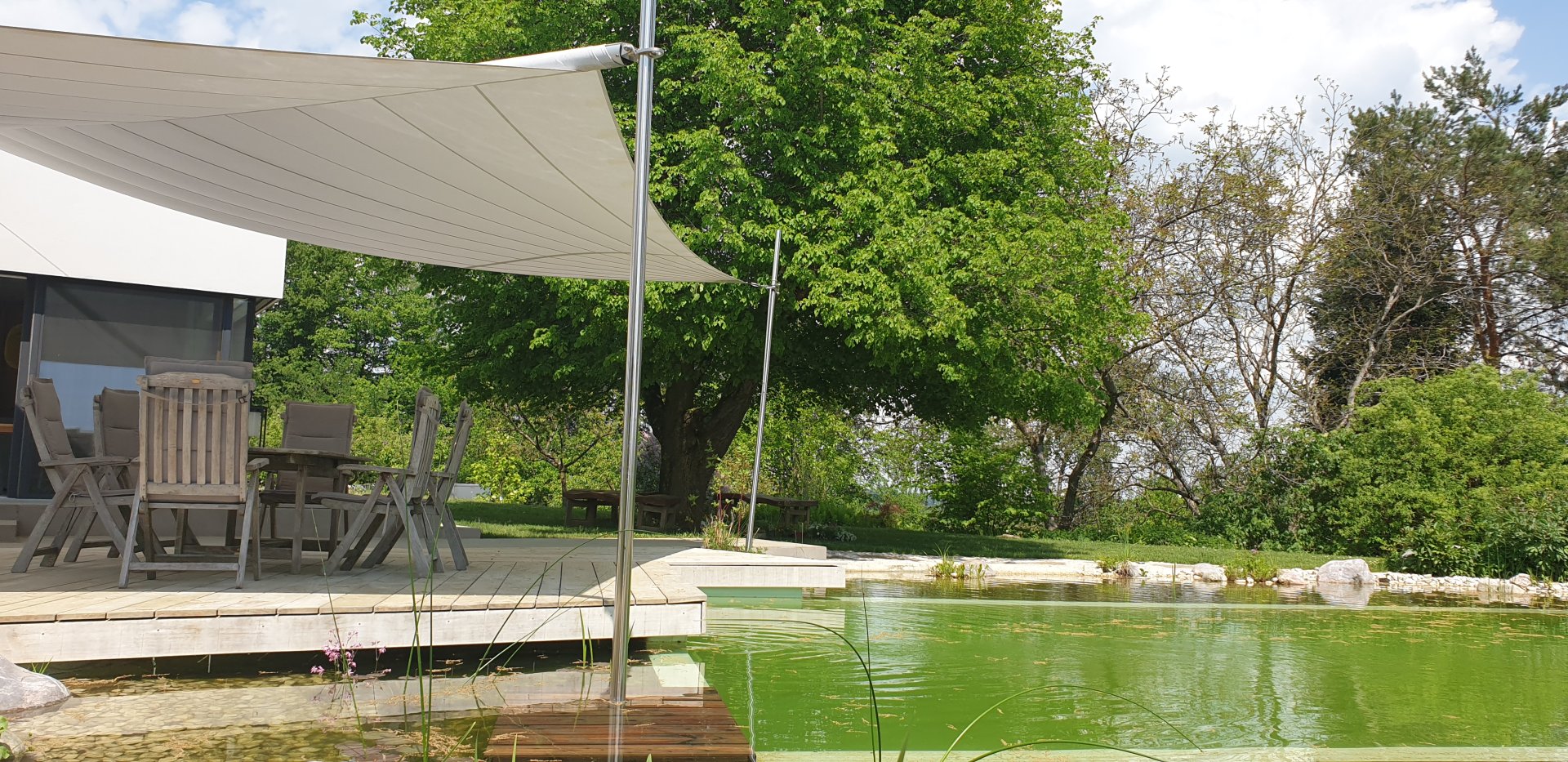 Naturschwimmteich trifft auf Sunsquare Sonnensegel.