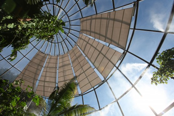 Botanischer Garten Zürich - SunSquare Indoor Segel